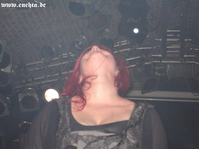 Lame Immotrelle vom 20.02.2008-052.jpg